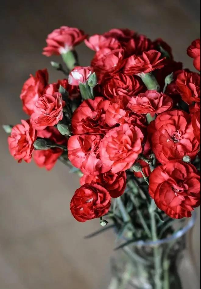 1620520785750814.jpg 微信图片_20210509083540.jpg