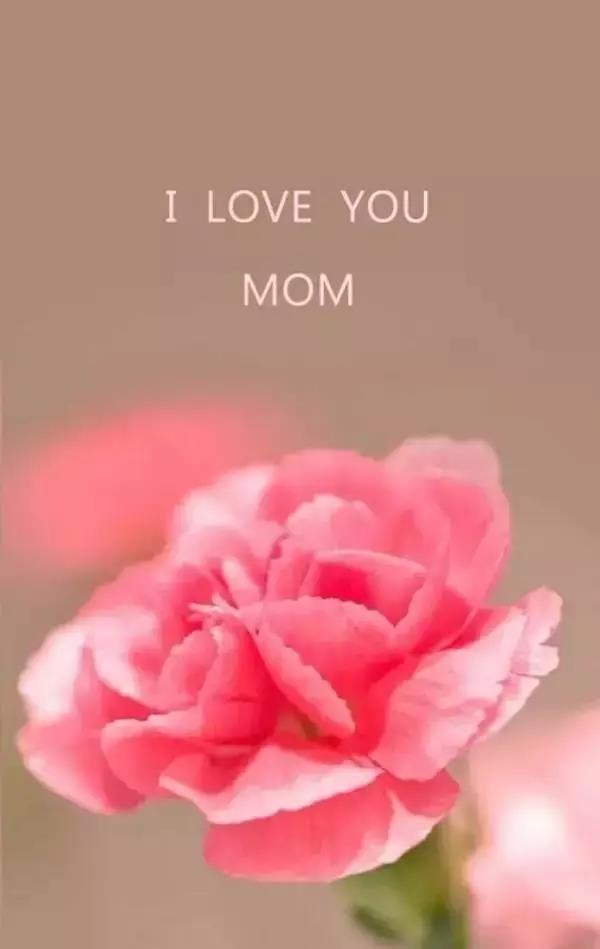 1620521398621388.jpg 微信图片_20210509083716.jpg